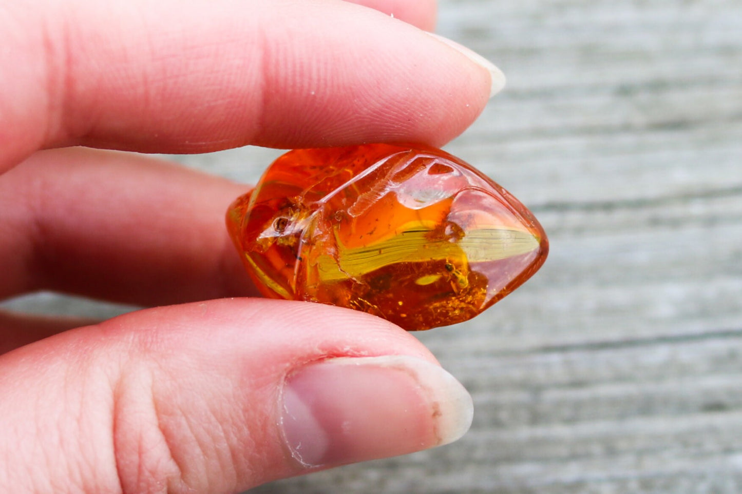 Baltic Amber Ant Fossil Chunk Nugget Honey Natural Inclusions 3.6 gram