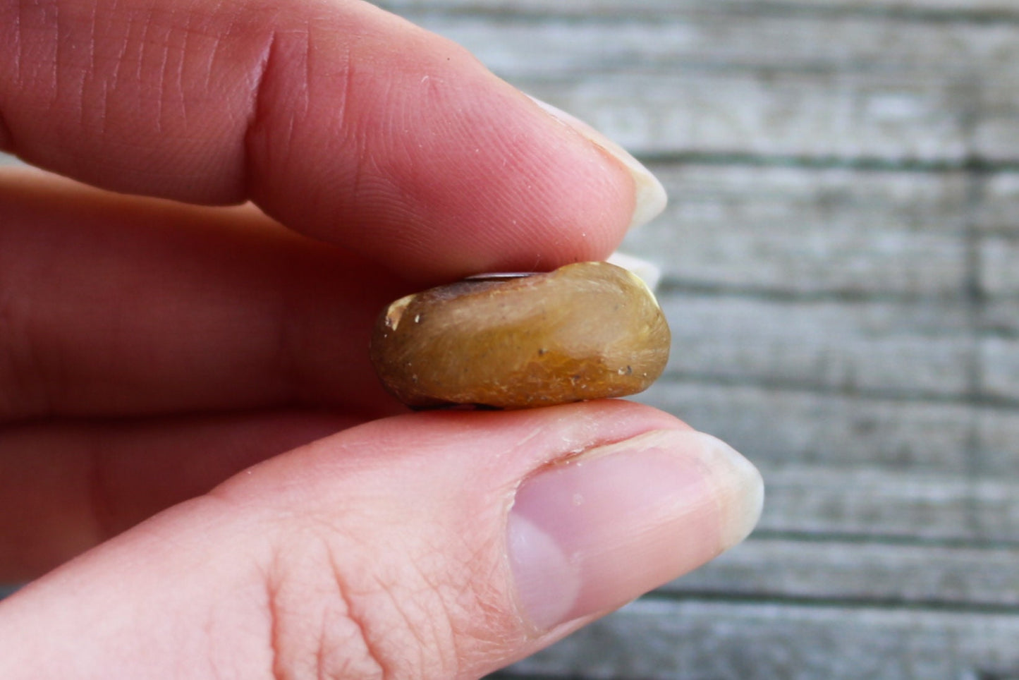 Baltic Amber Charm Bead Raw  Natural Untreated 0.74"