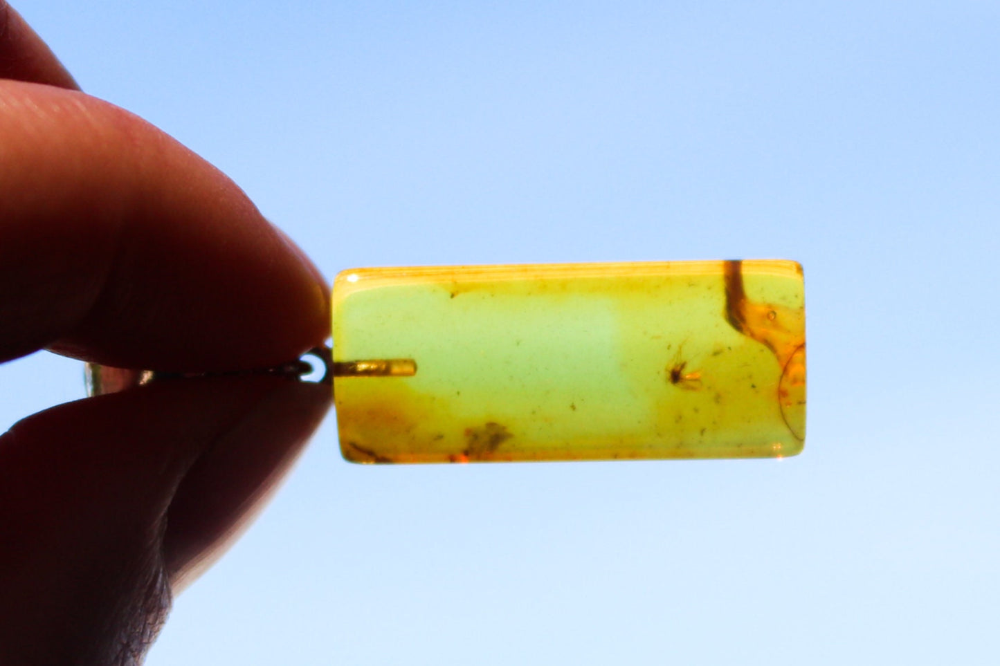 Baltic Amber Pendant Fossil Insect Natural Honey Untreated 1.79" 3.7 gram