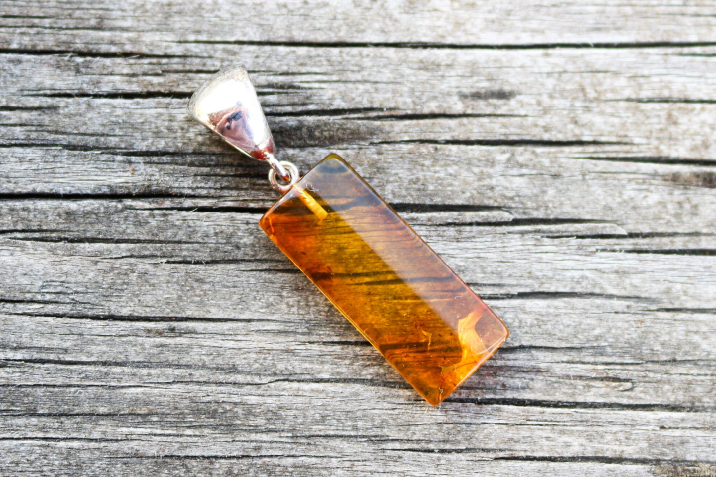 Baltic Amber Pendant Fossil Insect Natural Honey Untreated 1.79" 3.7 gram