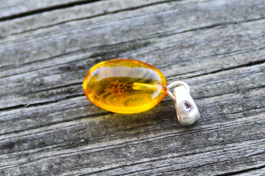 Baltic Amber Pendant with Fossil Insect Egg Shape Small Natural Untreated Honey Unisex 1" 1.4 gram