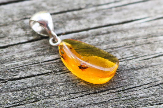 Baltic Amber Pendant with Fossil Insect Fly Small Natural Untreated Honey Unisex 1.33" 1.9 gram