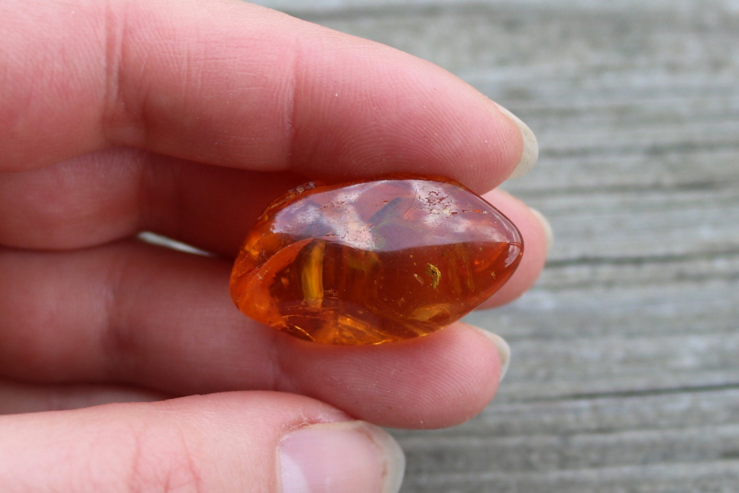 Baltic Amber Ant Fossil Chunk Nugget Honey Natural Inclusions 3.6 gram