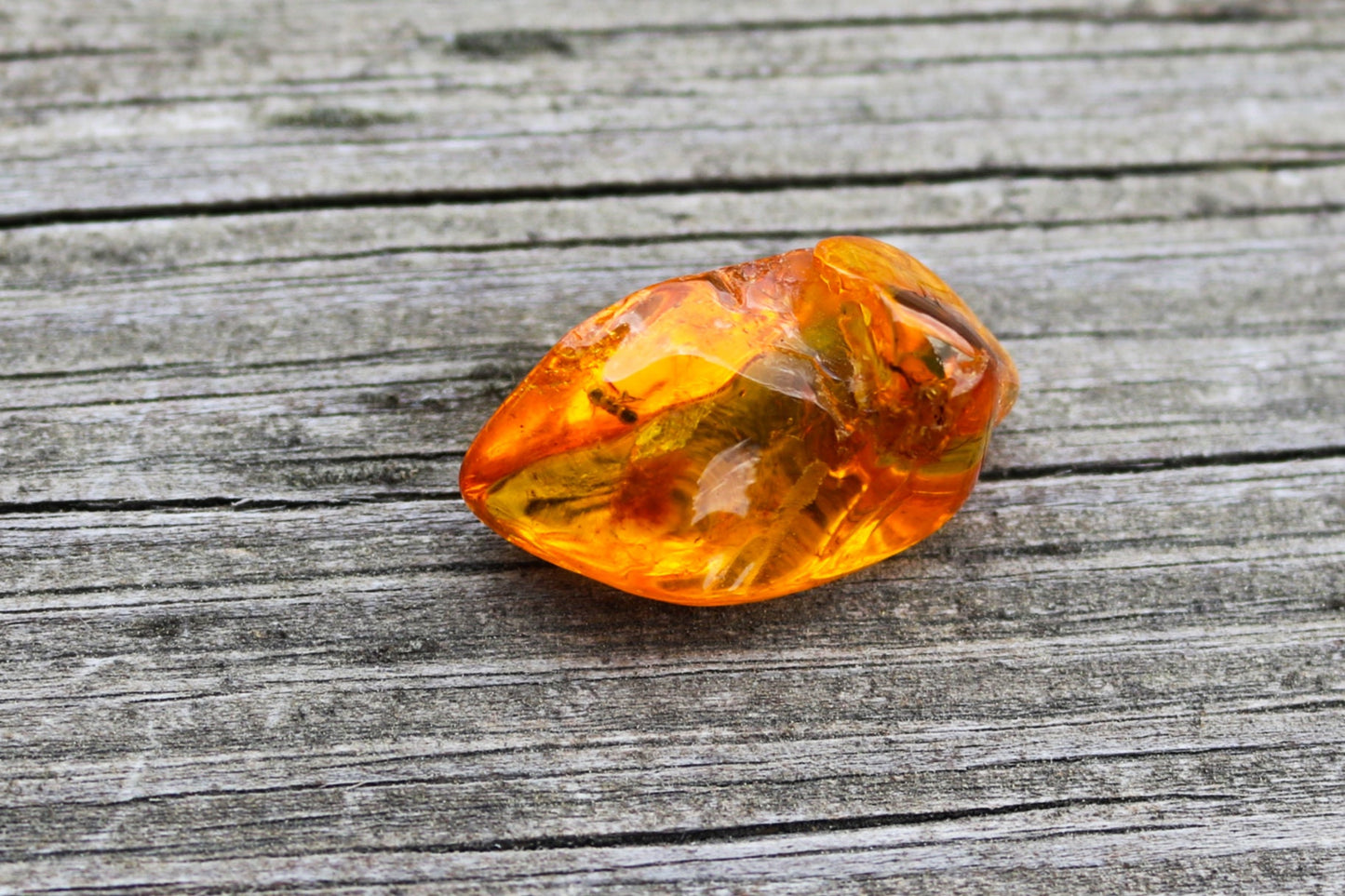 Baltic Amber Ant Fossil Chunk Nugget Honey Natural Inclusions 3.6 gram