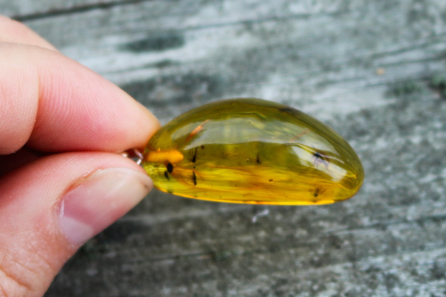 Baltic Amber Pendant Fossil Insects Honey Natural Untreated 1.87" 5 gram 925 Silver