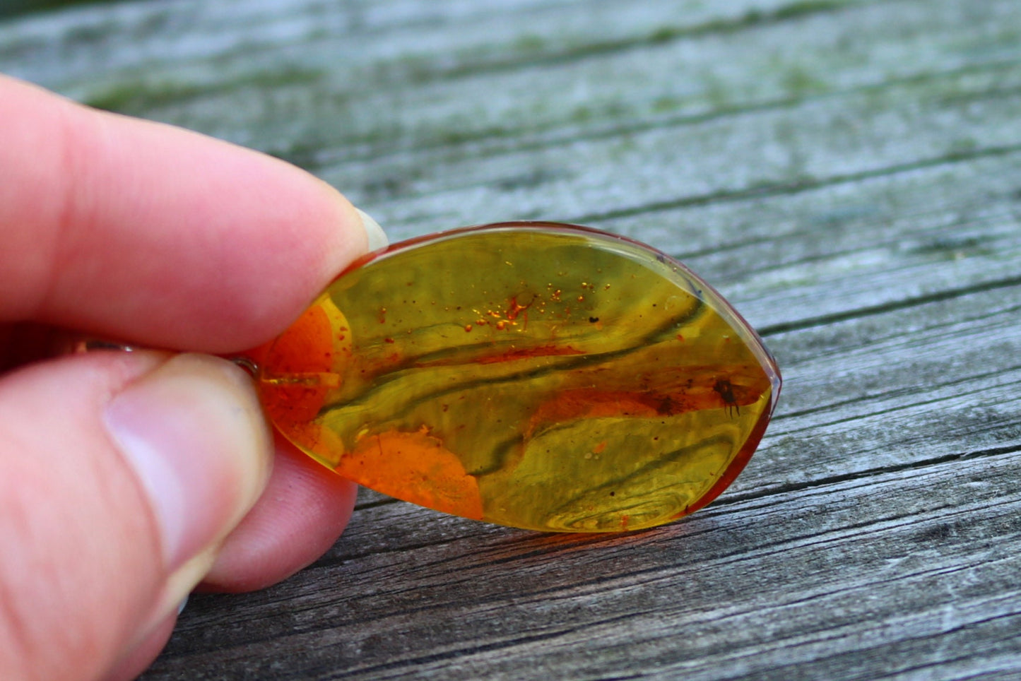 Baltic Amber Pendant Fossil Insect Natural Honey Unisex Jewelry 2.1" 5 gram 925 silver