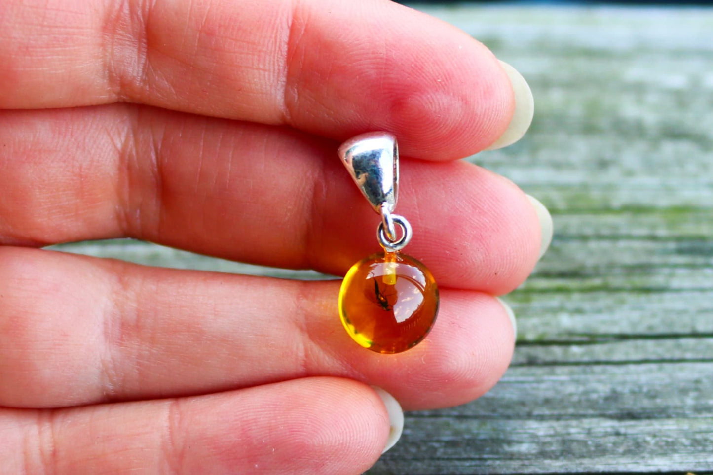 Baltic Amber Pendant Fossil Ant Natural Untreated Honey Inclusions Round 0.94" 1.5 gram 925 Silver