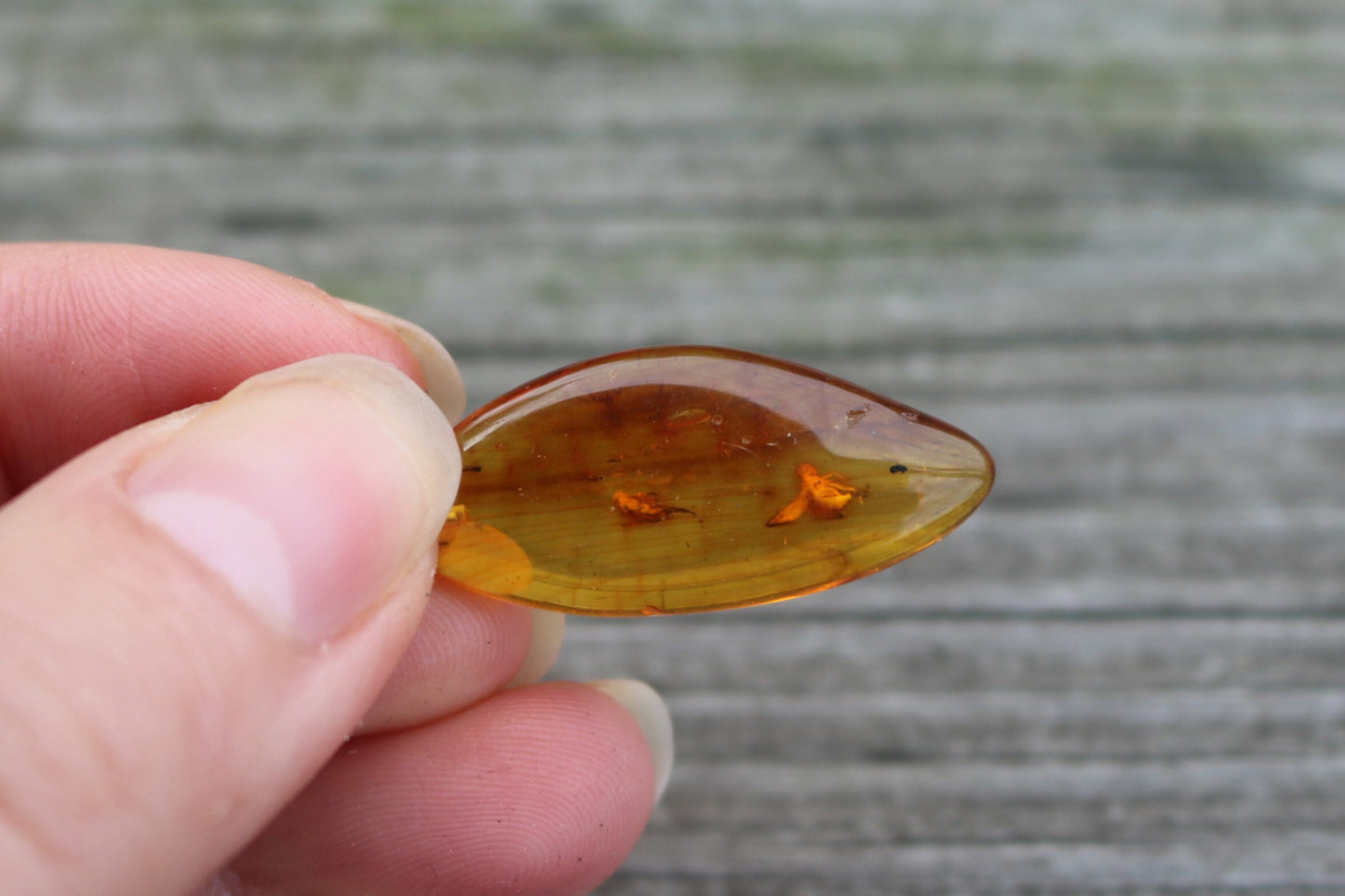 Baltic Amber Pendant Fossil Insect Fly Natural Honey Unisex Jewelry 1.77" 3.1 gram 925 silver