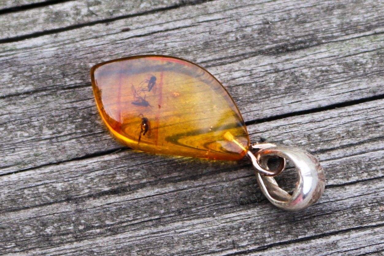 Baltic Amber Fossil Insect Pendant Natural Untreated Unisex Jewelry 1.32" 2 gram 925 Silver