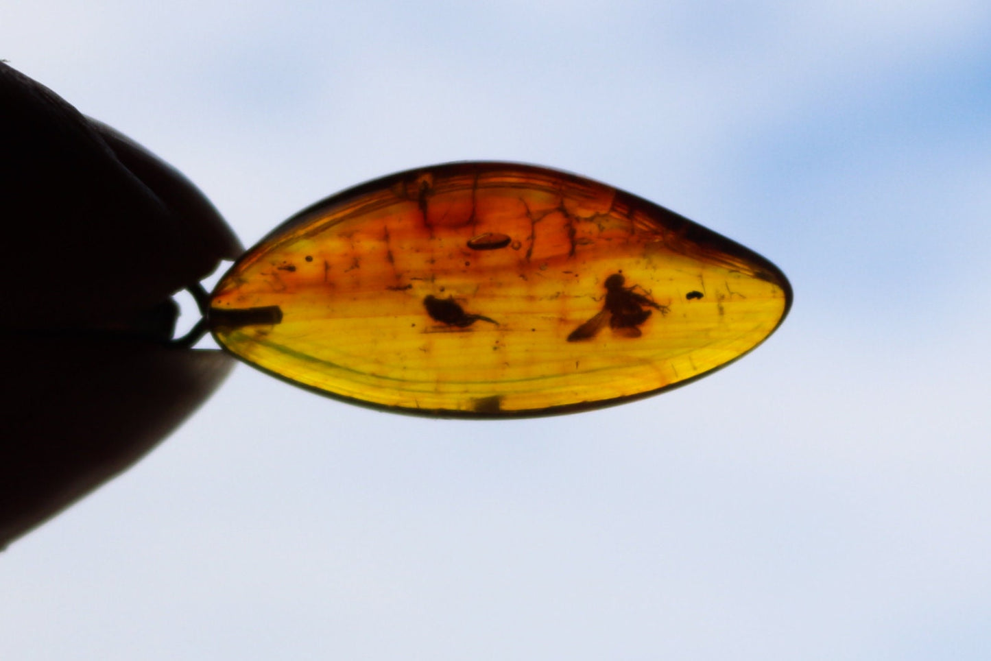 Baltic Amber Pendant Fossil Insect Fly Natural Honey Unisex Jewelry 1.77" 3.1 gram 925 silver