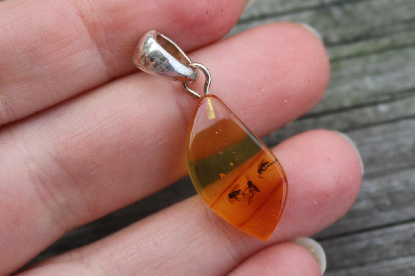 Baltic Amber Fossil Insect Pendant Natural Untreated Unisex Jewelry 1.32" 2 gram 925 Silver