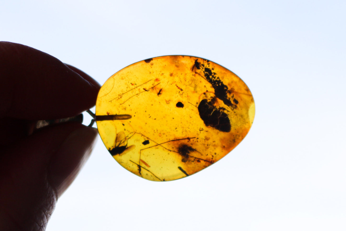 Baltic Amber Fossil Fly Insects Pendant Natural Untreated Honey Unisex 1.82" 6.2 gram 925 Silver