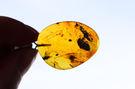 Baltic Amber Fossil Fly Insects Pendant Natural Untreated Honey Unisex 1.82" 6.2 gram 925 Silver