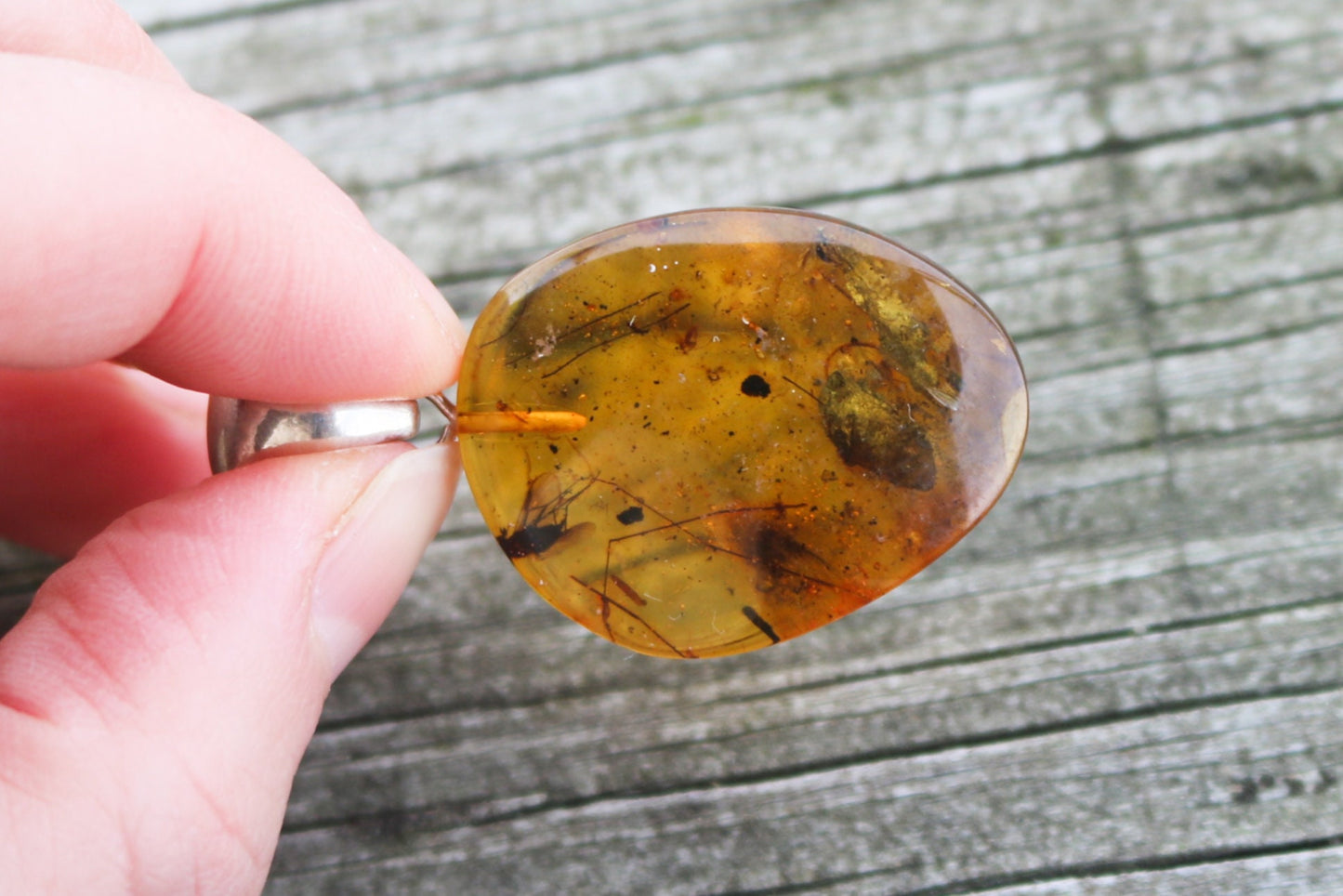 Baltic Amber Fossil Fly Insects Pendant Natural Untreated Honey Unisex 1.82" 6.2 gram 925 Silver