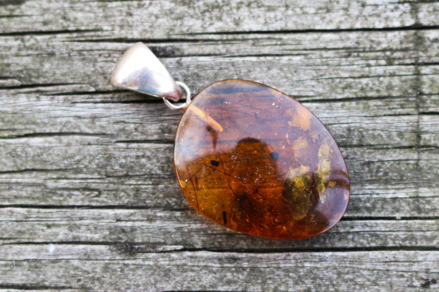 Baltic Amber Fossil Fly Insects Pendant Natural Untreated Honey Unisex 1.82" 6.2 gram 925 Silver