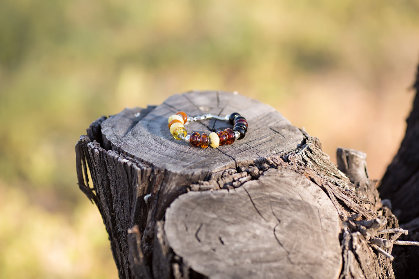 Baltic Amber Charm Bracelet Natural Bead 10 assorted pieces