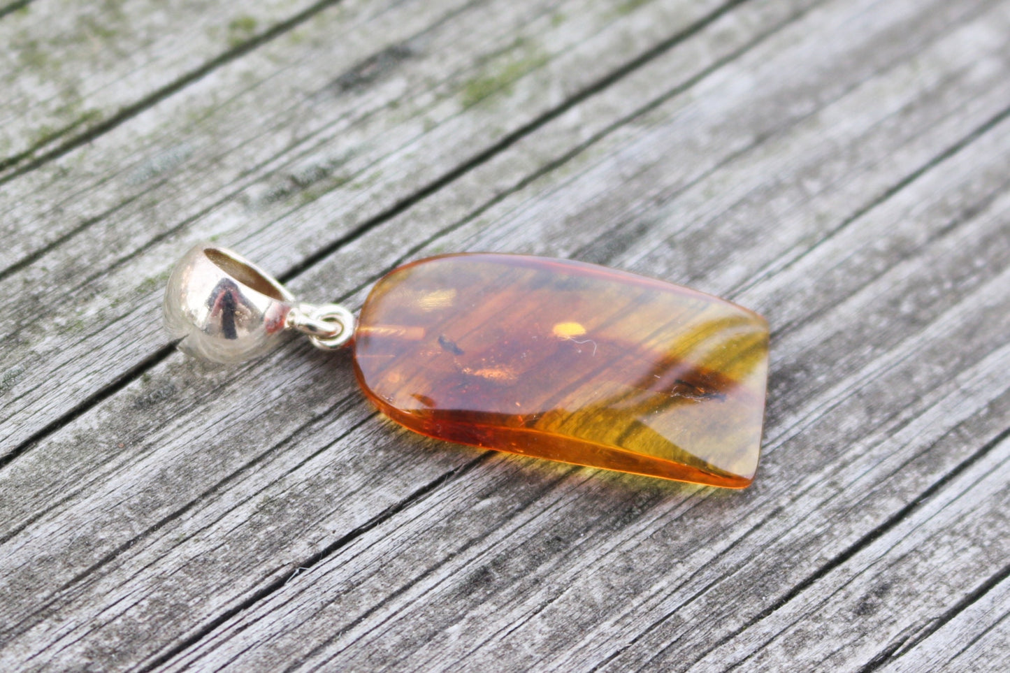 Baltic Amber Pendant Fossil Insect Natural Honey Untreated 1.74" 2.9 gram