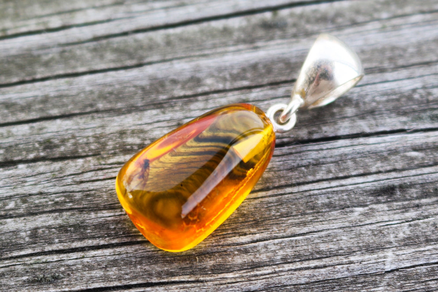 Baltic Amber Pendant with Fossil Insect Fly Natural Untreated Honey Unisex Jewelry 1.3" 2.8 gram