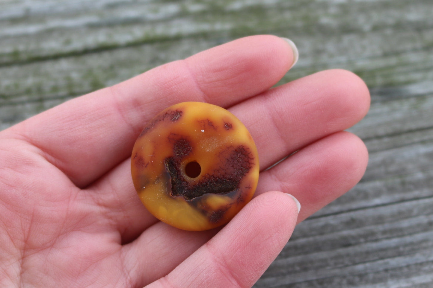 Baltic Amber Donut Pendant Raw Butterscotch Hand Carved Unisex 1.2" 5 gram