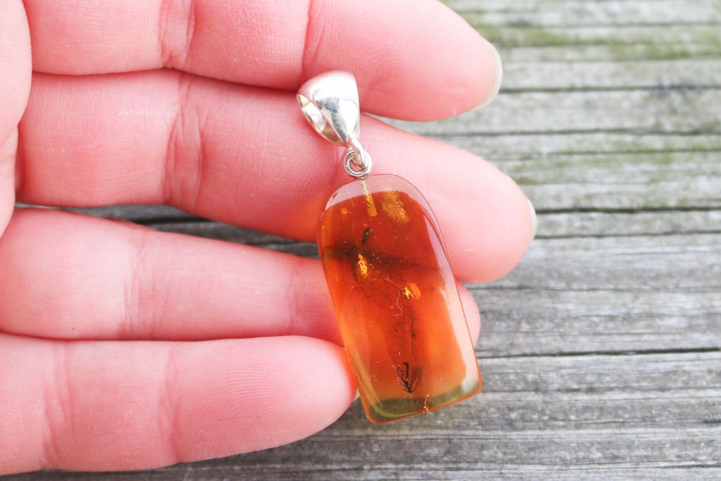 Baltic Amber Pendant Fossil Insect Natural Honey Untreated 1.74" 2.9 gram