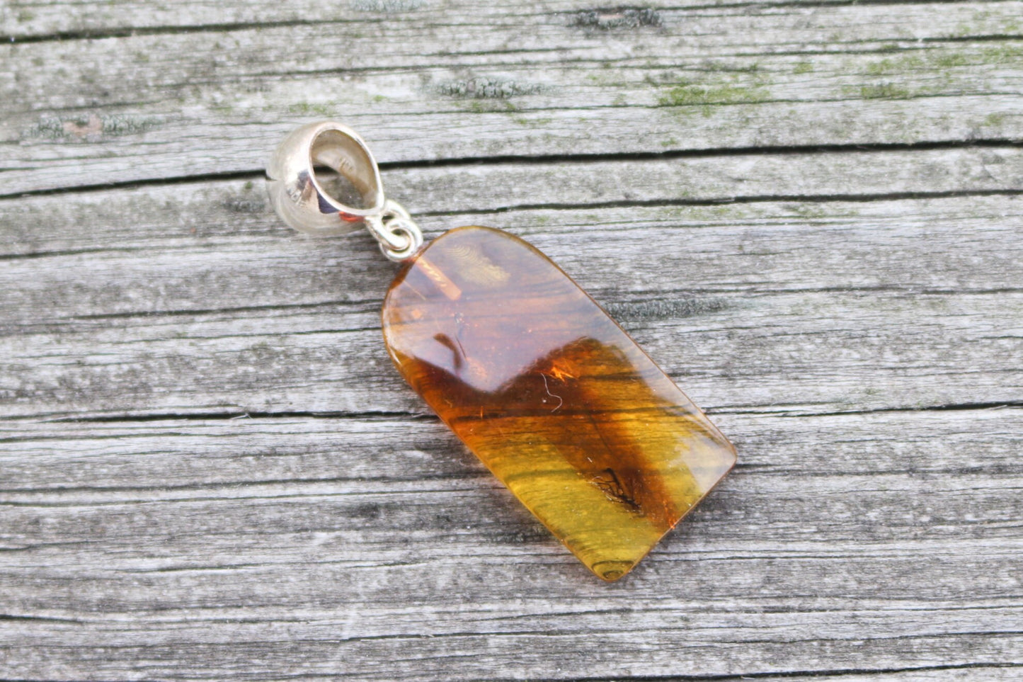 Baltic Amber Pendant Fossil Insect Natural Honey Untreated 1.74" 2.9 gram