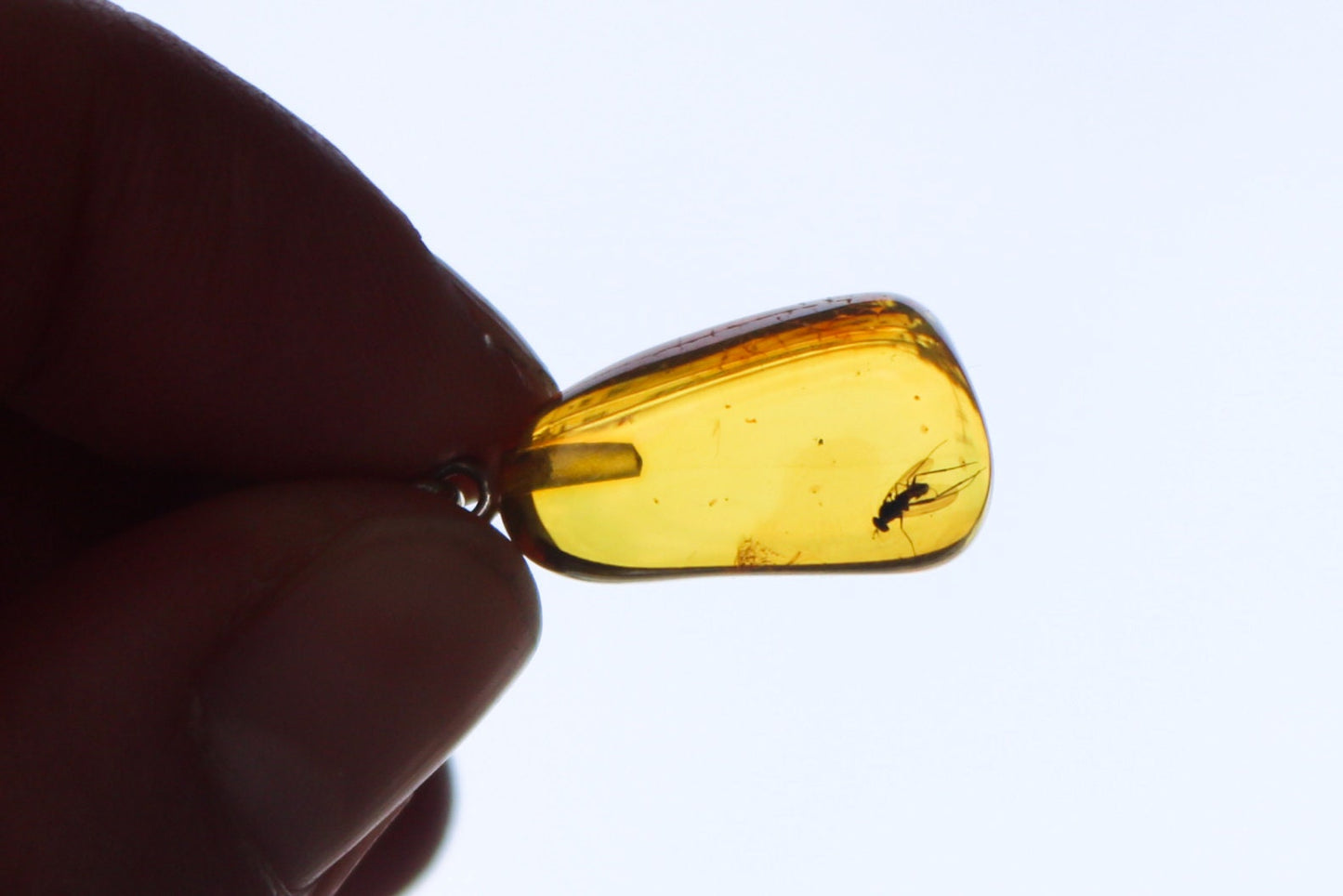 Baltic Amber Pendant with Fossil Insect Fly Natural Untreated Honey Unisex Jewelry 1.3" 2.8 gram