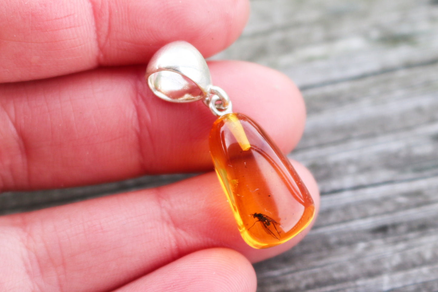 Baltic Amber Pendant with Fossil Insect Fly Natural Untreated Honey Unisex Jewelry 1.3" 2.8 gram