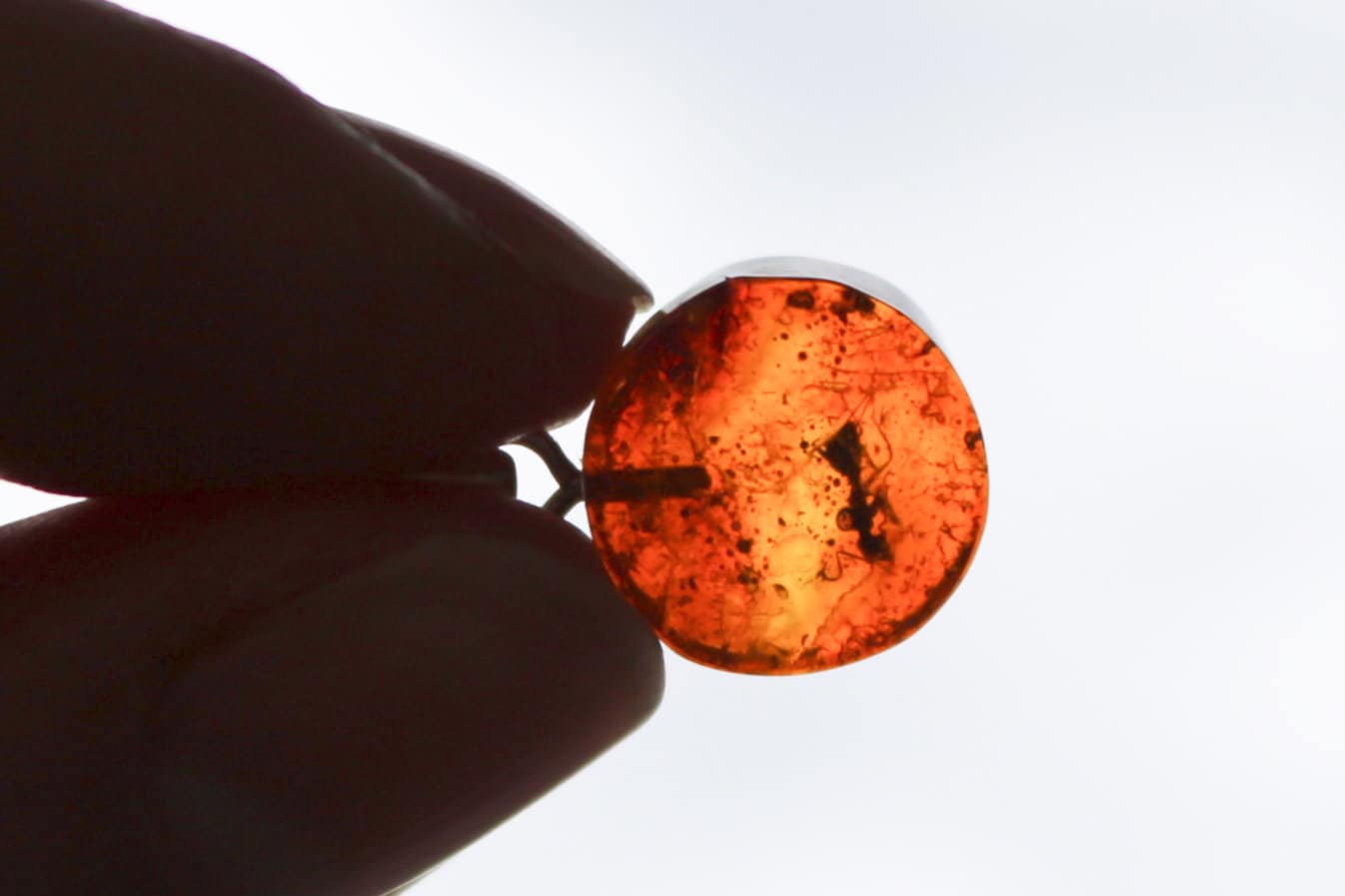 Baltic Amber Pendant Fossil Insect Ant Round Natural Honey Unisex Jewelry 0.9" 1.3 gram 925 silver