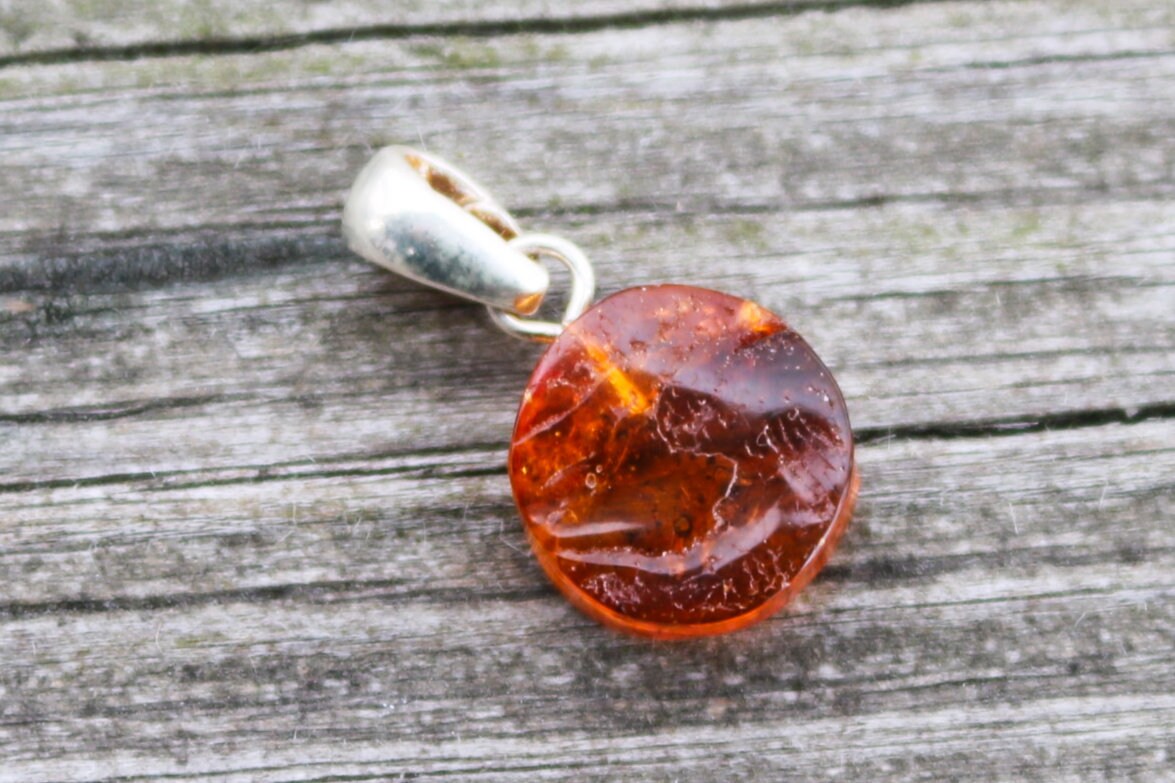 Baltic Amber Pendant Fossil Insect Ant Round Natural Honey Unisex Jewelry 0.9" 1.3 gram 925 silver