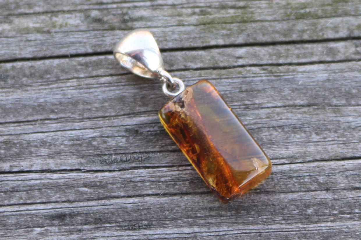 Baltic Amber Pendant Plant Fossil Insect Honey Natural Untreated 1.27" 2.3 gram 925 Silver