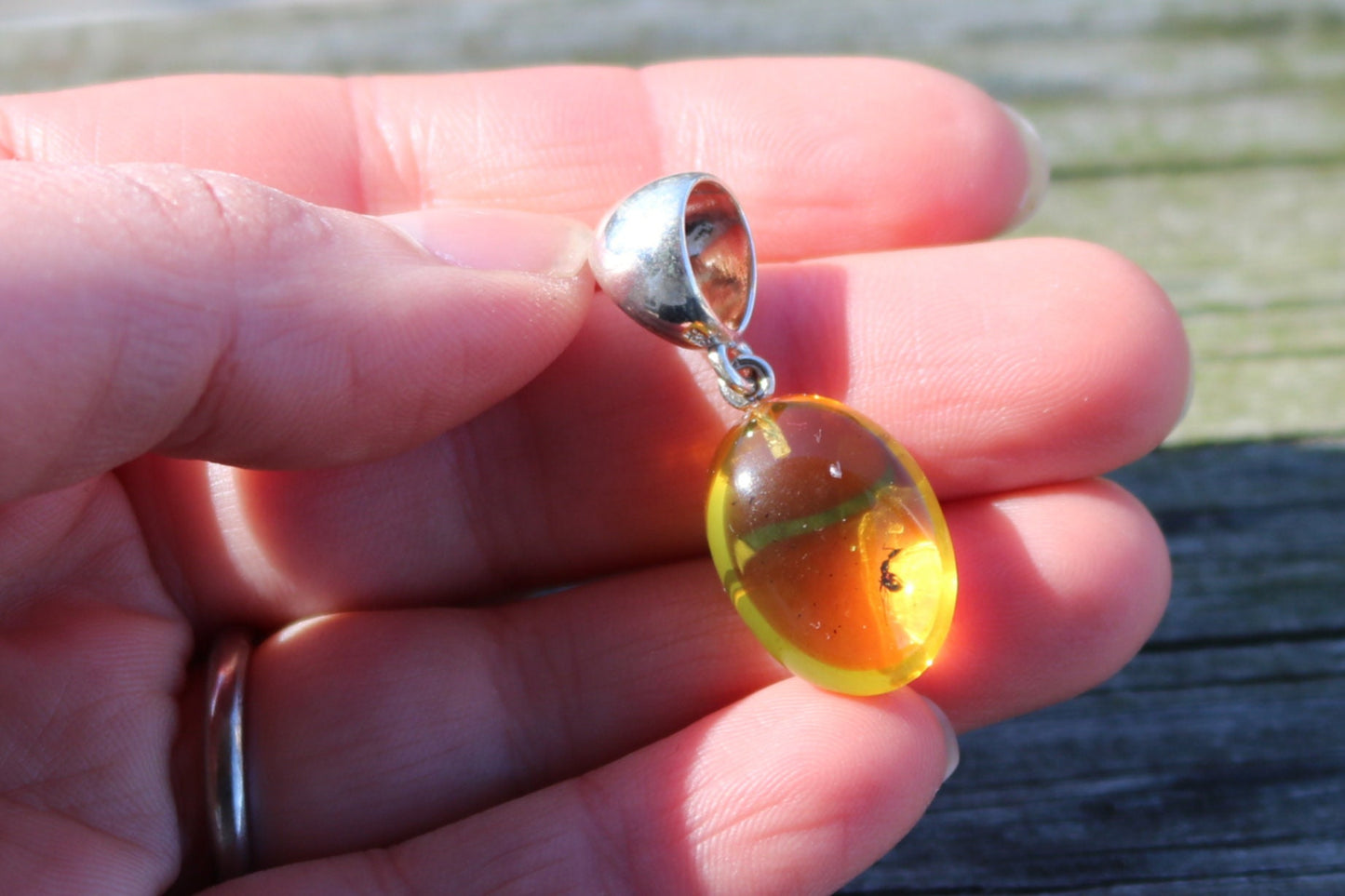 Baltic Amber Pendant Fossil Insect Oval Natural Yellow Unisex Jewelry 1.4" 3.4 gram 925 silver