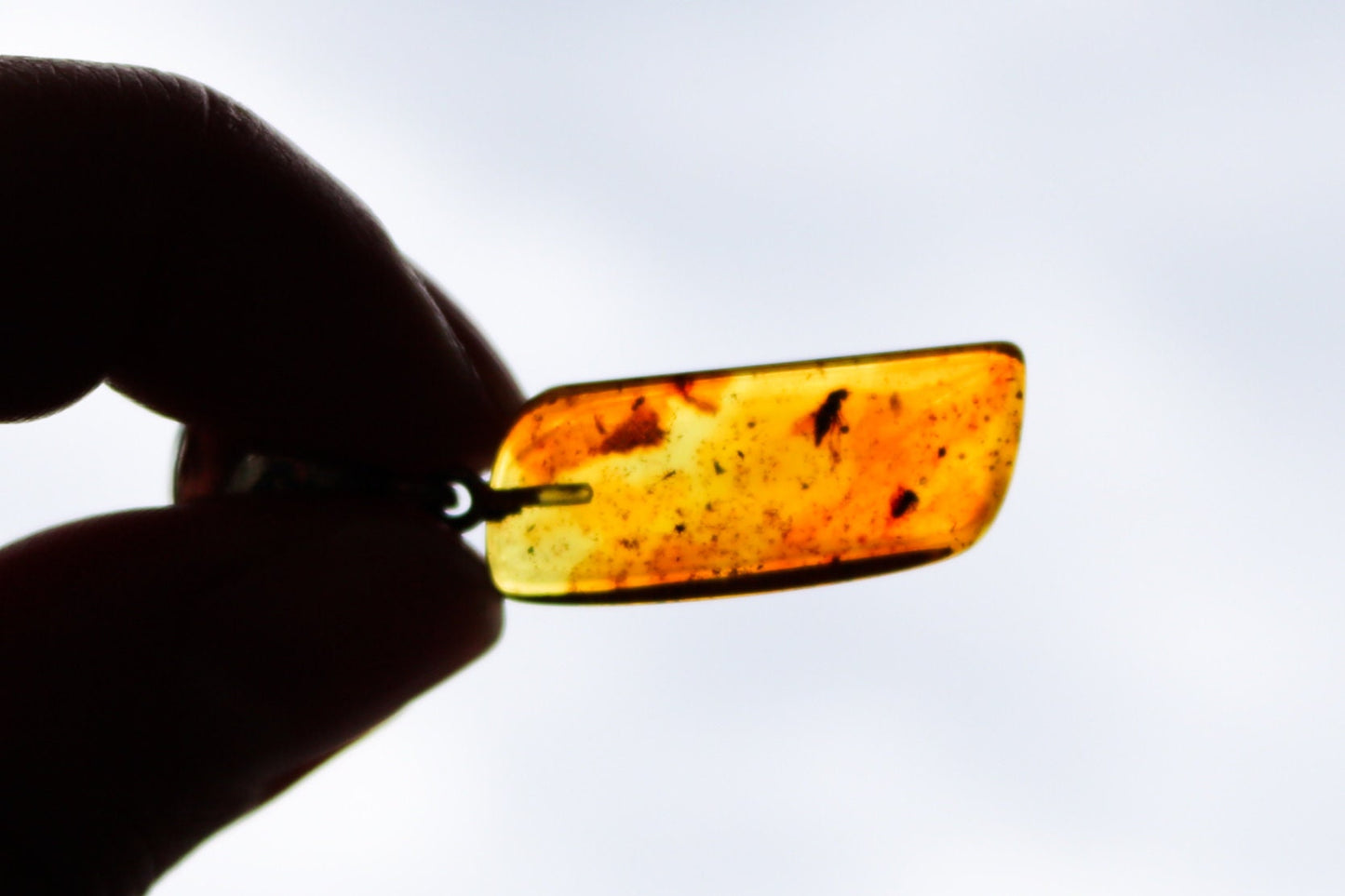 Baltic Amber Pendant Fossil Insect Fly Inclusions Honey Natural 1.7" 3.2 gram 925 Silver