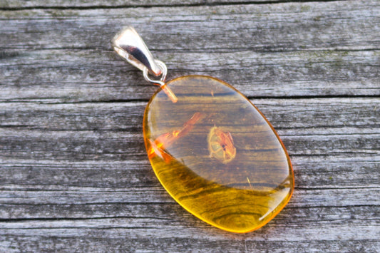 Baltic Amber Pendant Fossil Insect Natural Honey Unisex Jewelry 1.64" 3.5 gram 925 silver