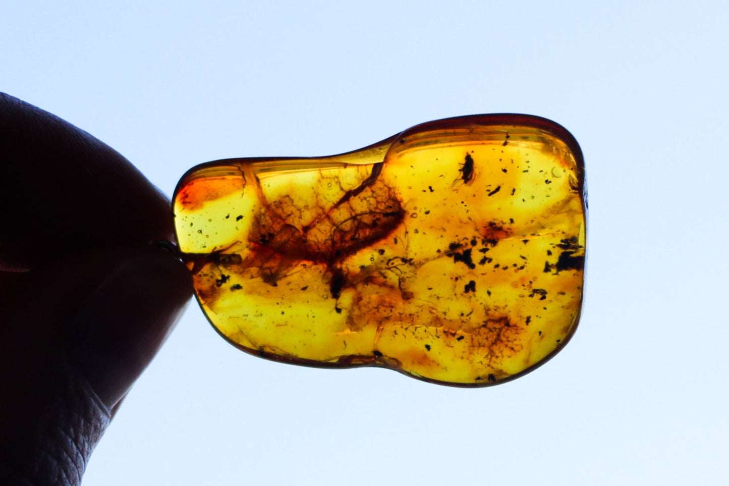 Baltic Amber Pendant Fossil Insect Natural Honey Unisex Jewelry 2.1" 5.2 gram 925 silver