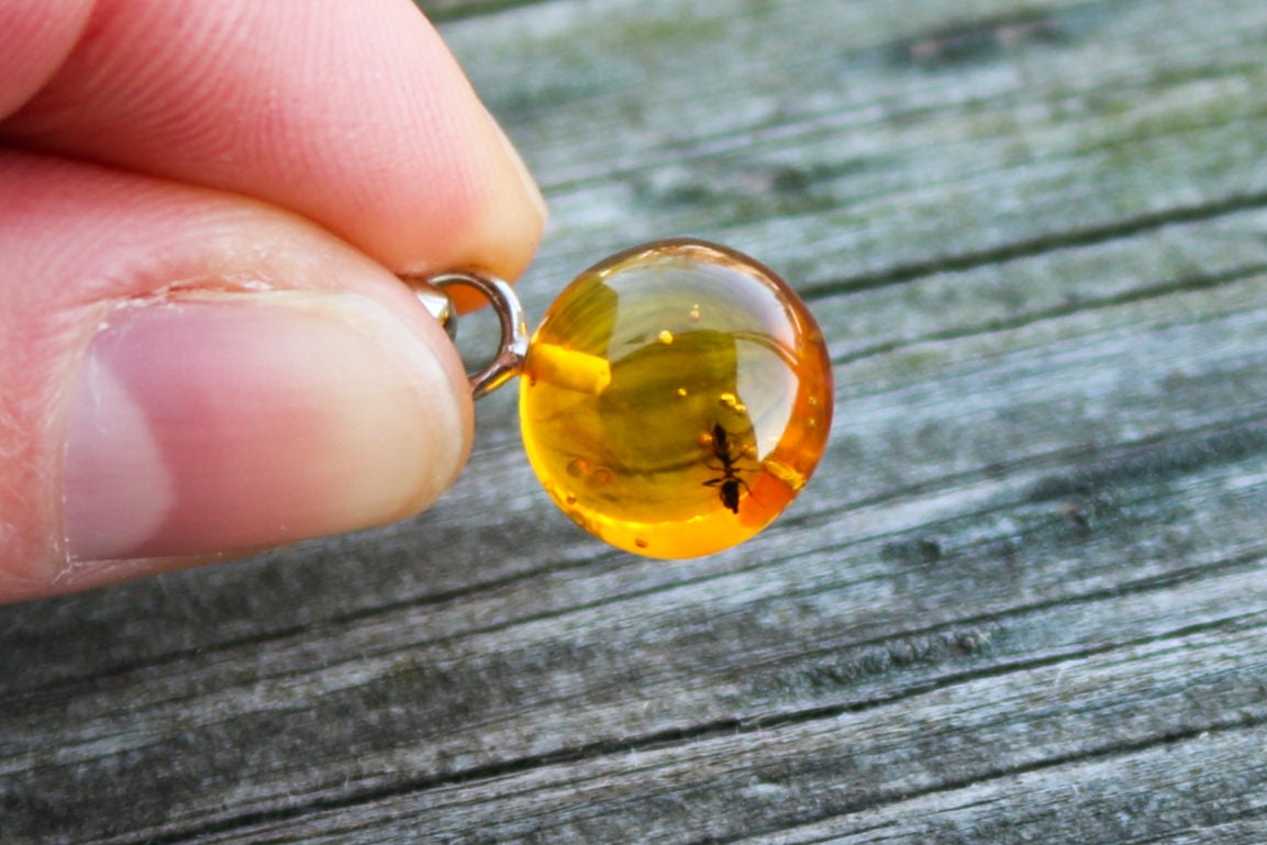 Baltic Amber Pendant Fossil Insect Ant Round Natural Honey Unisex Jewelry 0.9" 1.4 gram 925 silver