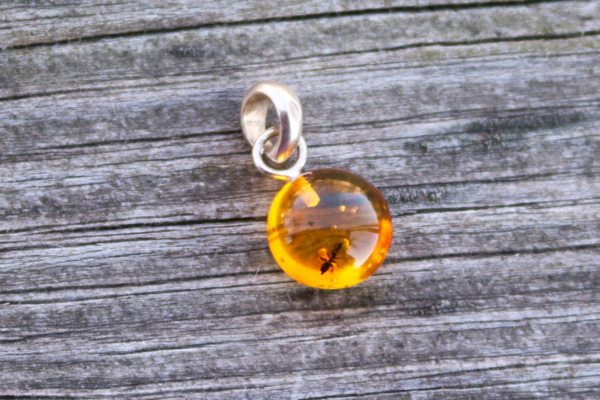 Baltic Amber Pendant Fossil Insect Ant Round Natural Honey Unisex Jewelry 0.9" 1.4 gram 925 silver