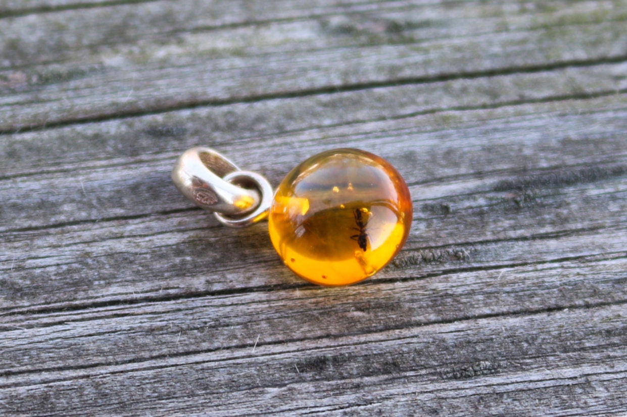 Baltic Amber Pendant Fossil Insect Ant Round Natural Honey Unisex Jewelry 0.9" 1.4 gram 925 silver