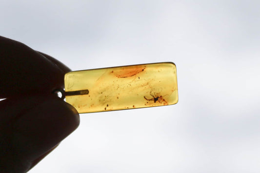 Baltic Amber Pendant Fossil Insect Rectangle Natural Honey Unisex Jewelry 1.5" 2 gram 925 silver
