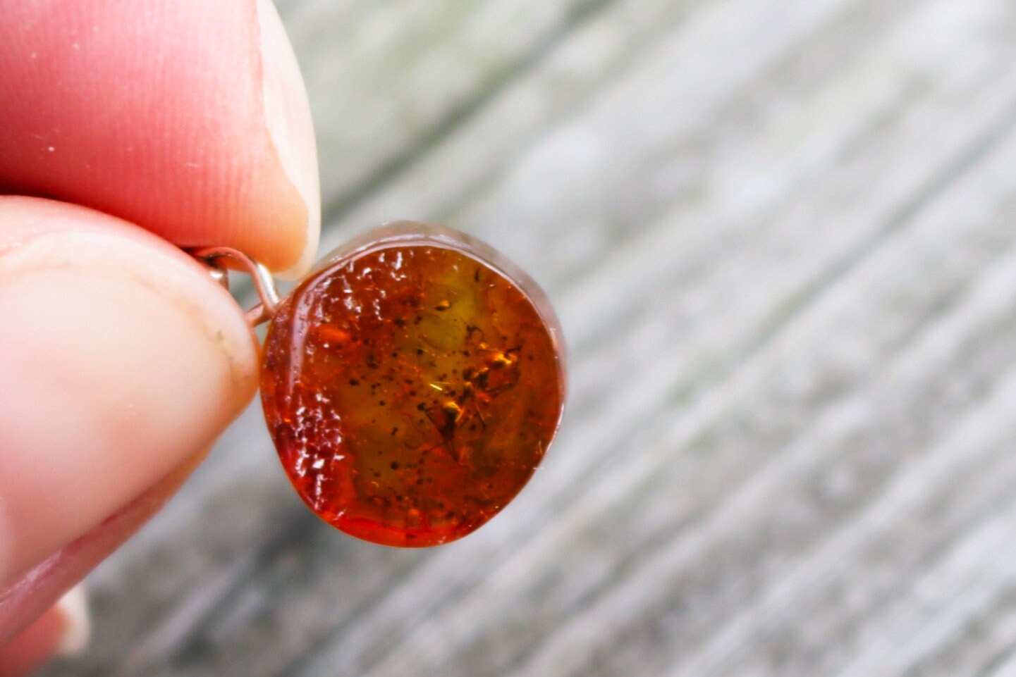 Baltic Amber Pendant Fossil Insect Ant Round Natural Honey Unisex Jewelry 0.9" 1.3 gram 925 silver