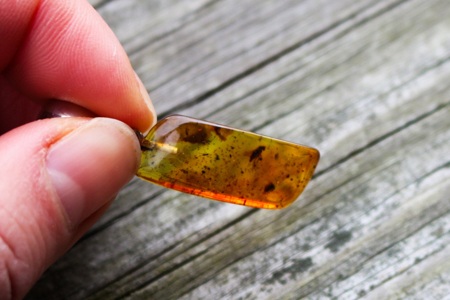 Baltic Amber Pendant Fossil Insect Fly Inclusions Honey Natural 1.7" 3.2 gram 925 Silver