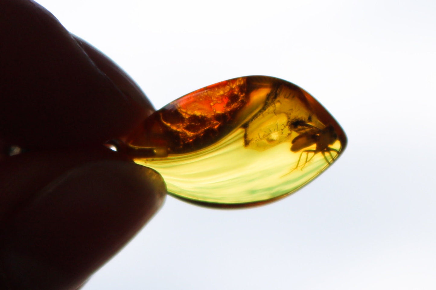 Baltic Amber Pendant Fossil Insect Fly Natural Untreated Unisex 1.33" 1.6 gram