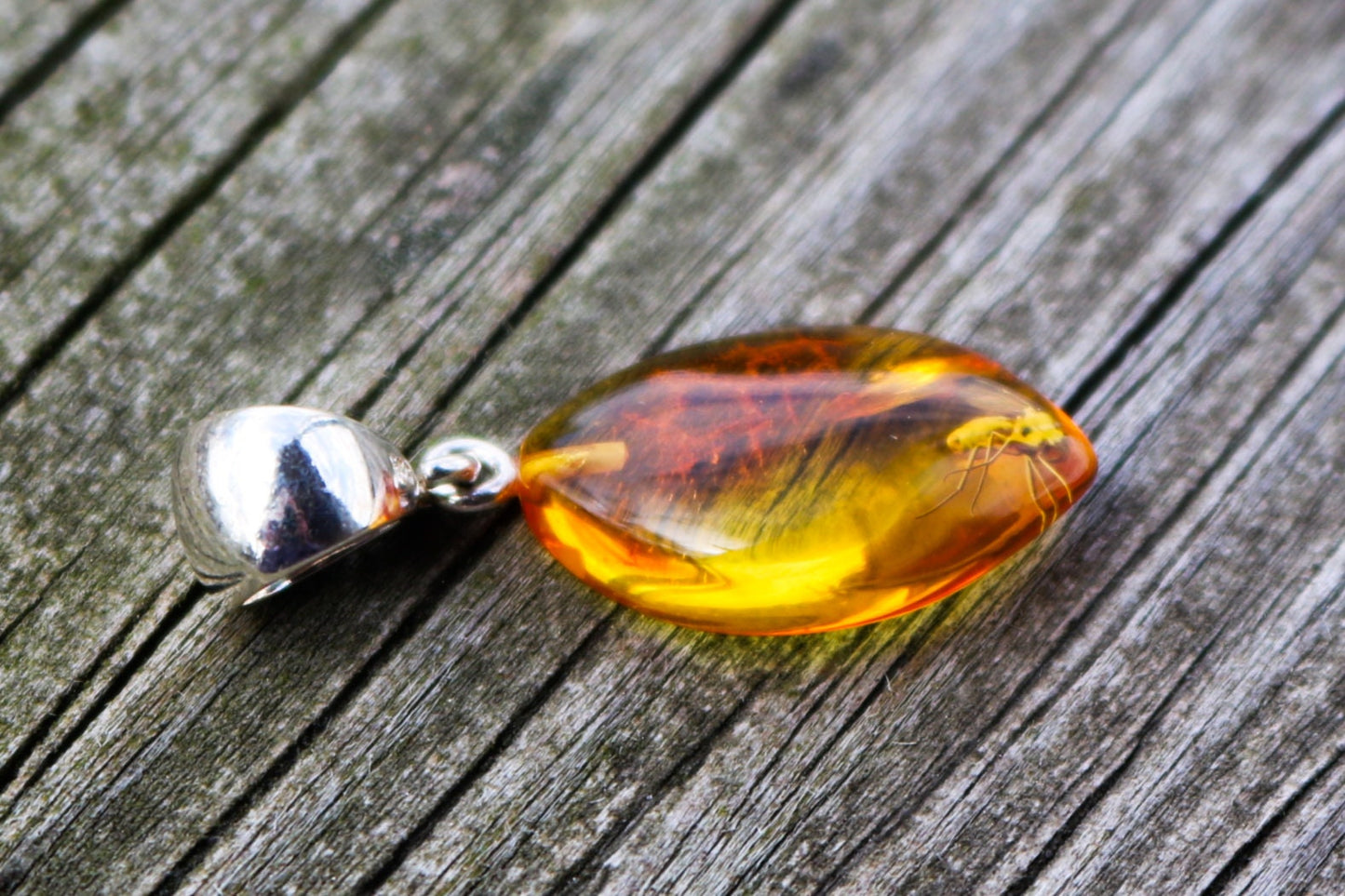 Baltic Amber Pendant Fossil Insect Fly Natural Untreated Unisex 1.33" 1.6 gram