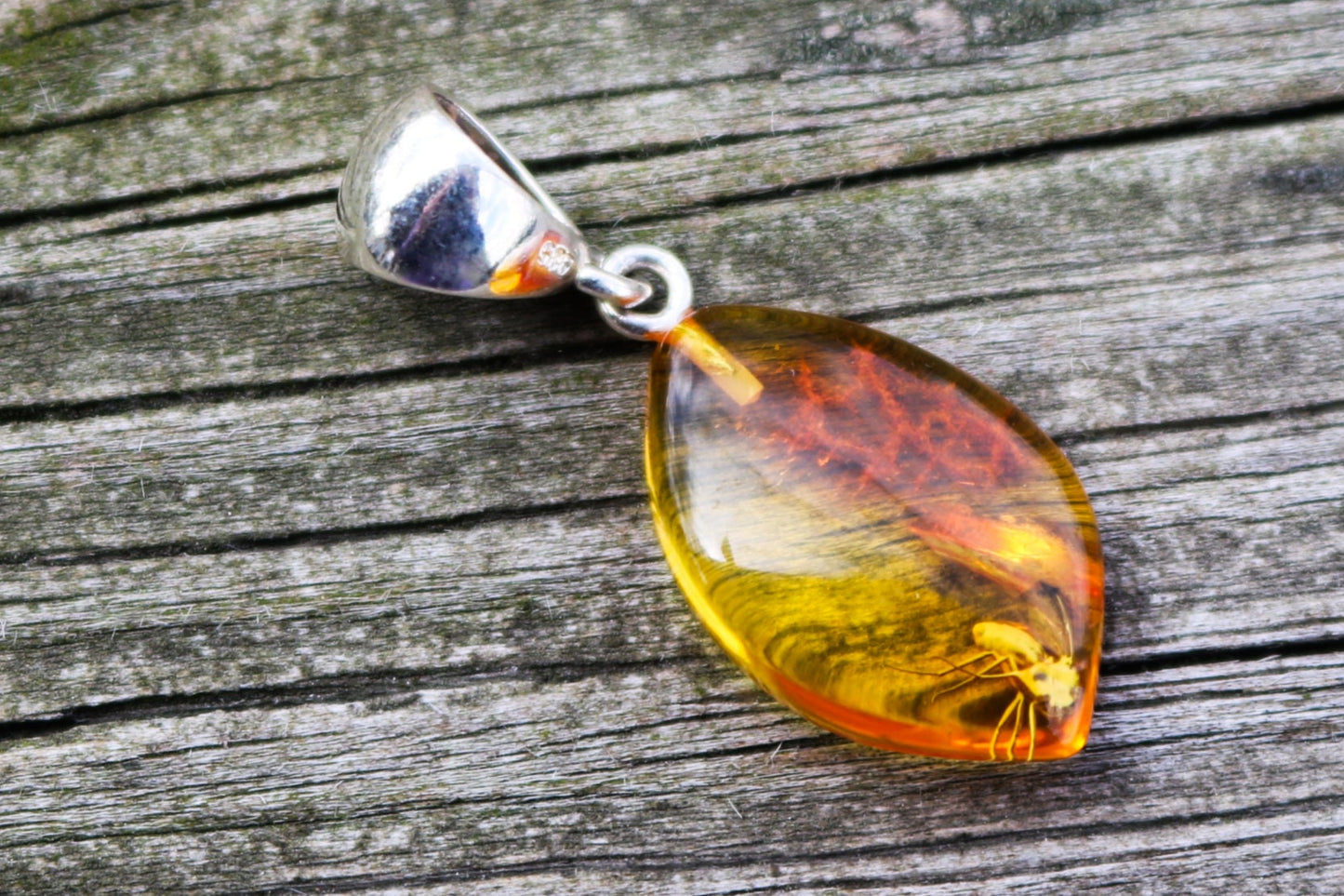 Baltic Amber Pendant Fossil Insect Fly Natural Untreated Unisex 1.33" 1.6 gram