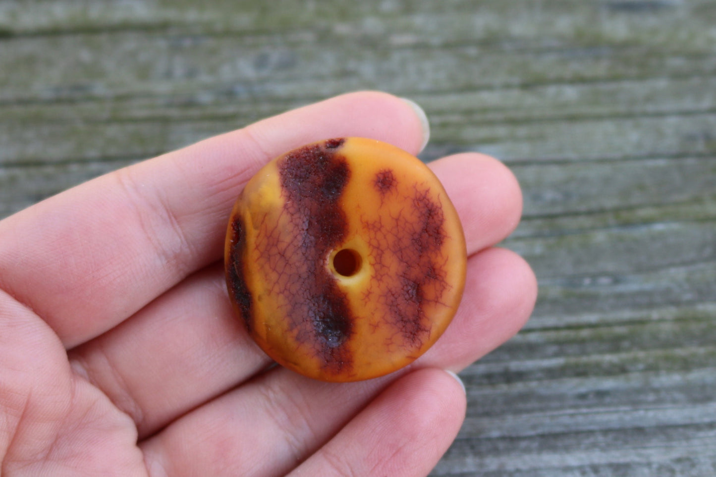 Baltic Amber Donut Pendant Unpolished Natural Unisex 1.4" 8.3 g 925 Silver