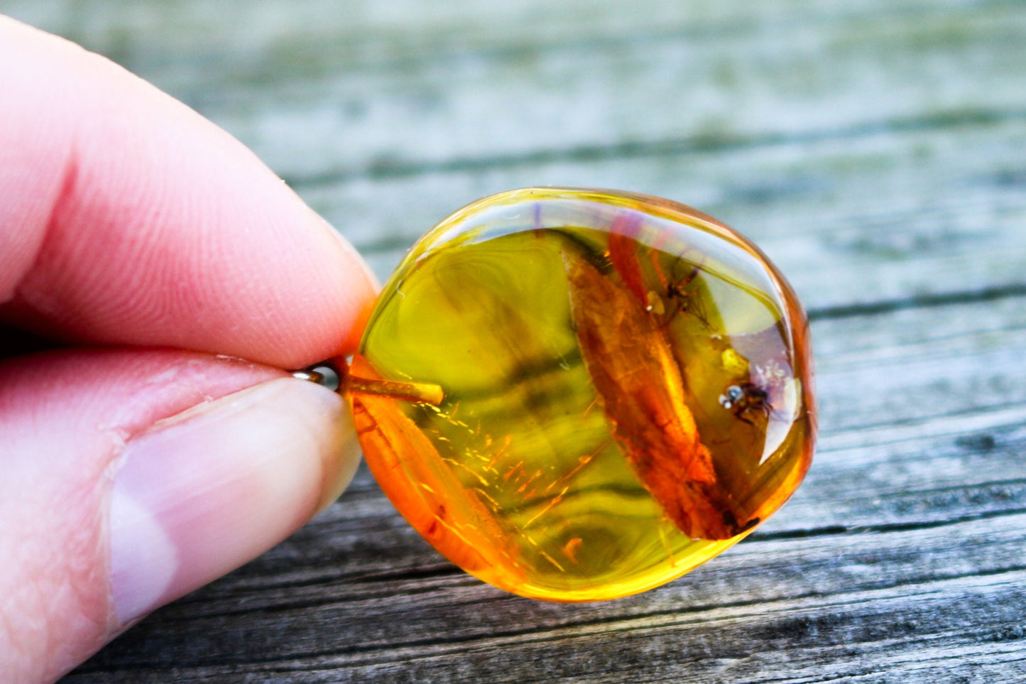 Baltic Amber Pendant Fossil Insects Mosquito Fly Natural Honey Untreated 1.6" 5.9 gram