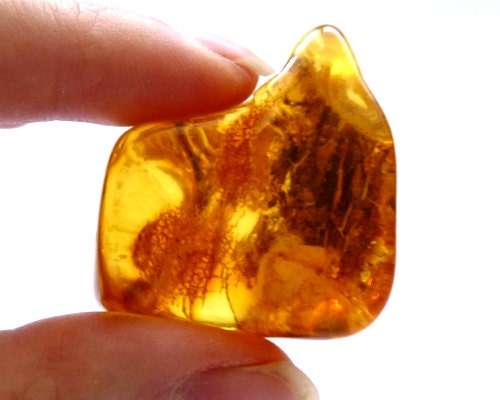 Baltic Amber Nugget Honey Natural Inclusions Debris 14.2 gram