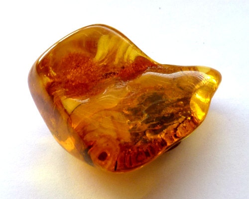 Baltic Amber Nugget Honey Natural Inclusions Debris 14.2 gram