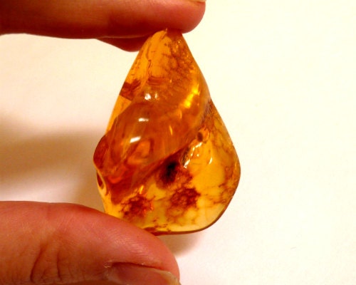 Baltic Amber Nugget with Fossil Insect Natural Honey 15.5 gram